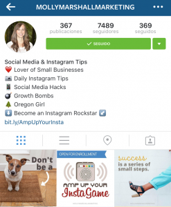 ejemplo buena bio profesional en instagram